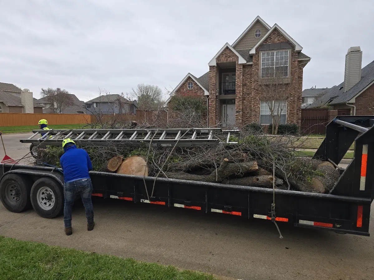 Expert Tree Fertilization with proper safety equipment in Midway Park